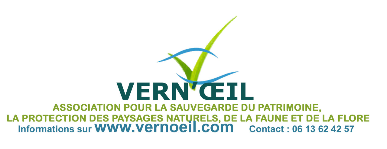 Vern'Oeil